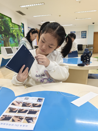 1759217771584014923.png image.png