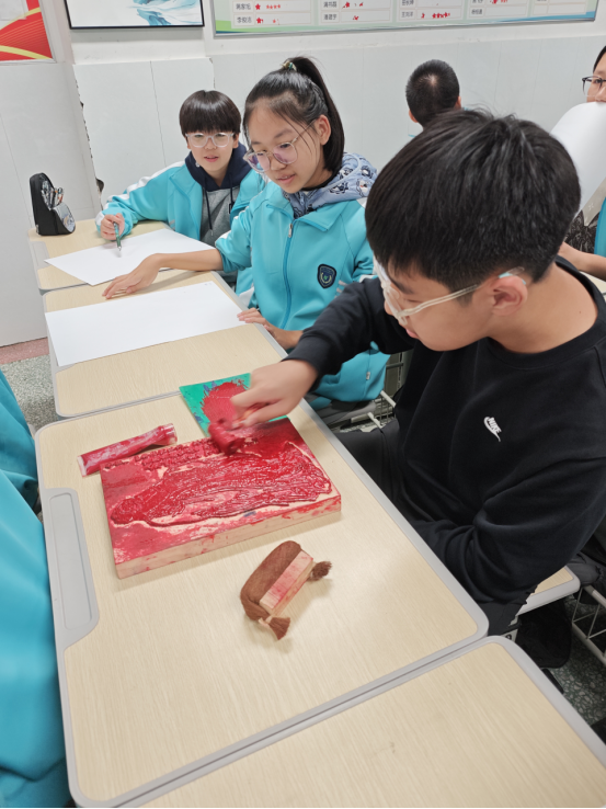 1761294050461045067.png image.png