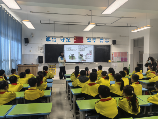 1764846949206057260.png image.png